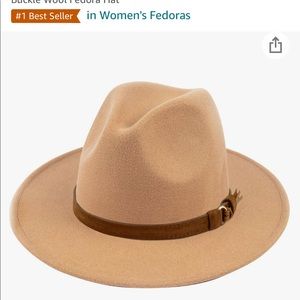 Brown fedora hat
